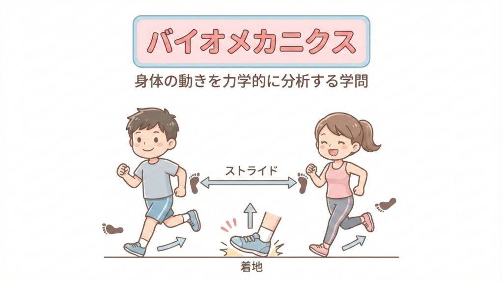 走るときの体の動き（バイオメカニクス）