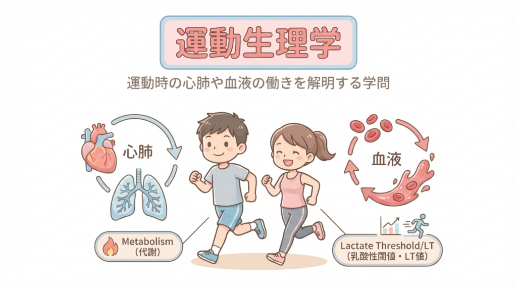エネルギーシステムの仕組み（運動生理学）