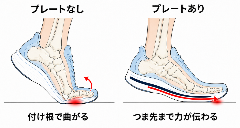 蹴り出し時に足指の付け根が曲がりすぎるのを抑え※、より身体が前へ進みやすくなります。