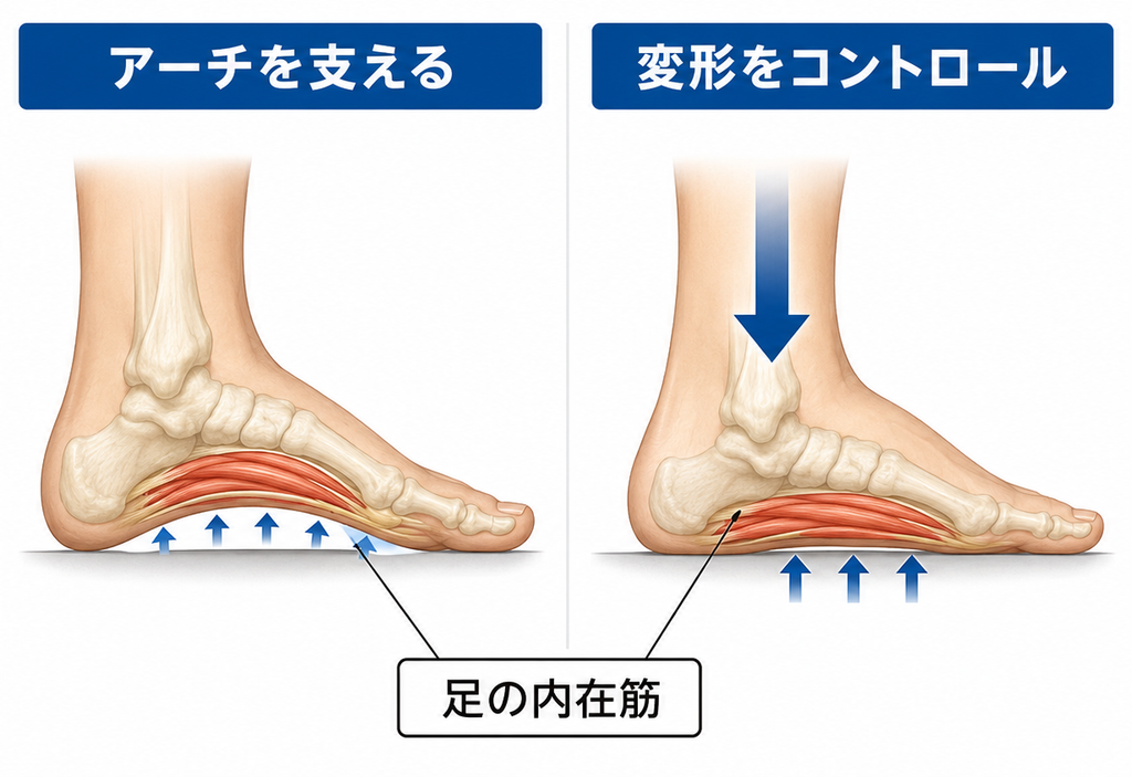足には「内在筋」と呼ばれる小さな筋肉があります。