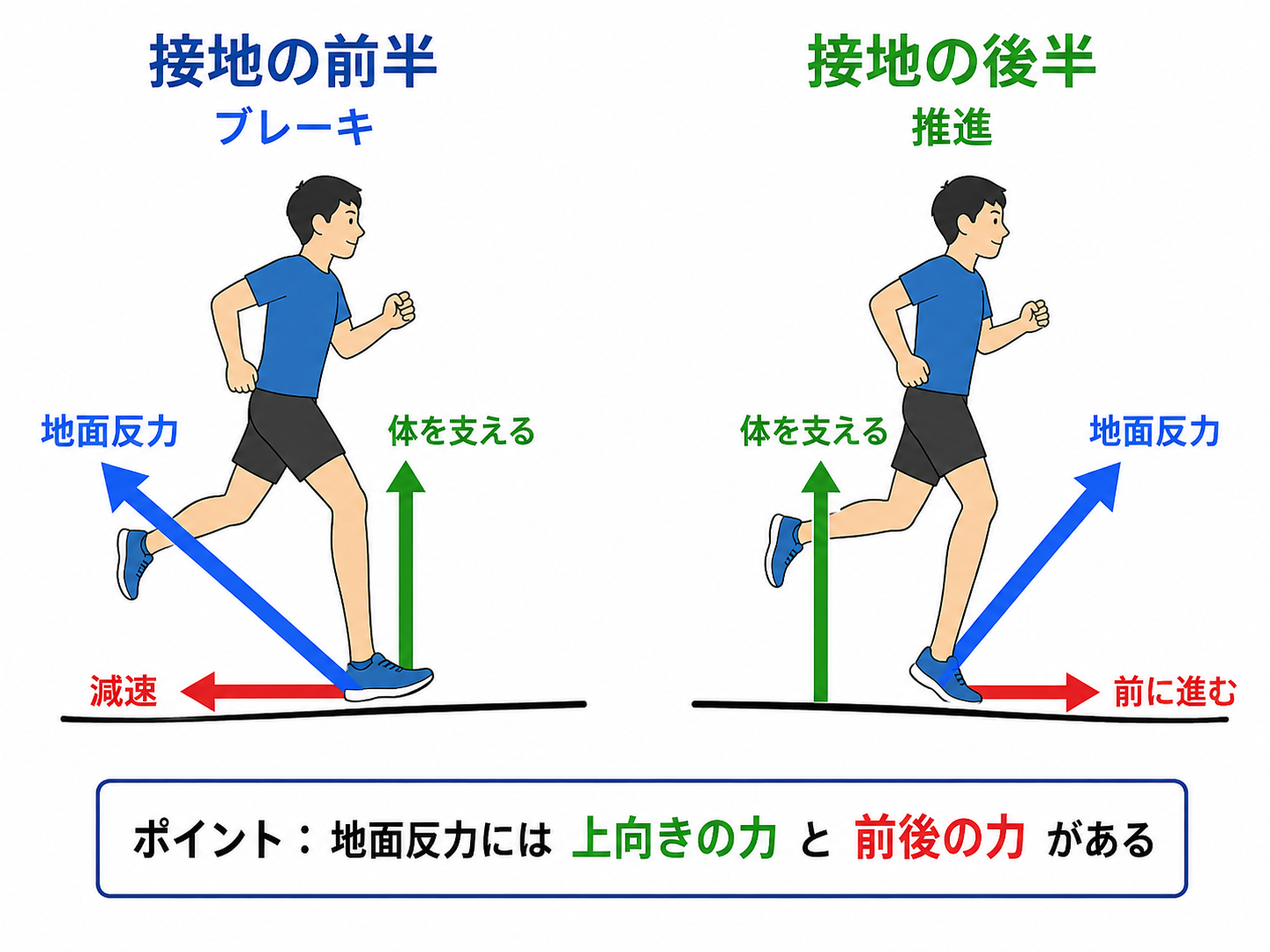 地面反力には、
身体を支える上下方向の性質
身体を減速・加速させる前後方向の性
があります。